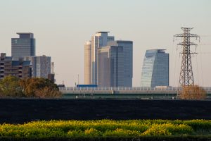 庄内緑地公園、桜、3月の春の花、名古屋市西区の観光・撮影スポットの画像と写真