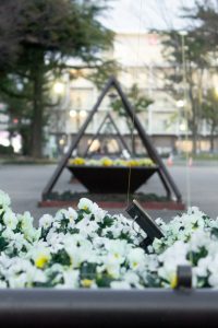 名城公園、フラワープラザ、2月の春の花名古屋市北区の観光・撮影スポットの画像と写真