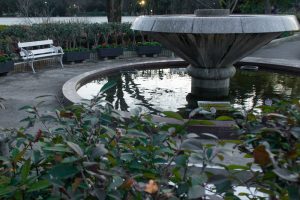 名城公園、フラワープラザ、2月の春の花名古屋市北区の観光・撮影スポットの画像と写真