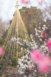 大高緑地公園、花梅まつり、2月の春の花、名古屋市緑区の観光・撮影スポットの画像と写真