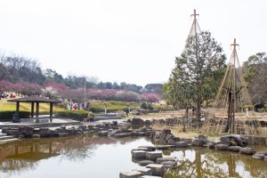 大高緑地公園、花梅まつり、2月の春の花、名古屋市緑区の観光・撮影スポットの画像と写真
