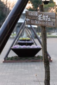 名城公園、フラワープラザ、2月の春の花、名古屋市北区の観光・撮影スポットの画像と写真