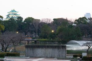 名城公園、フラワープラザ、2月の春の花、名古屋市北区の観光・撮影スポットの画像と写真