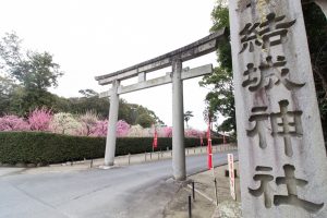 結城神社、梅、2月の春の花、三重県津市の観光・撮影スポットの画像と写真