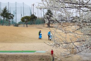 かざはやの里～かっぱのふるさと～、梅、2月の春の花、三重県津市の観光・撮影スポットの画像と写真