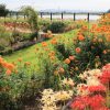 油ヶ淵水辺公園・水生花園、2019年9月の秋の花、愛知県碧南市の観光・撮影スポットの画像と写真