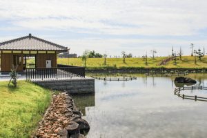 油ヶ淵水辺公園・水生花園、2019年9月の秋の花、愛知県碧南市の観光・撮影スポットの画像と写真