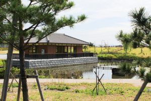 油ヶ淵水辺公園・水生花園、2019年9月の秋の花、愛知県碧南市の観光・撮影スポットの画像と写真