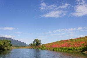 津屋川、彼岸花、9月の秋の花、岐阜県海津市の観光・撮影スポットの画像と写真