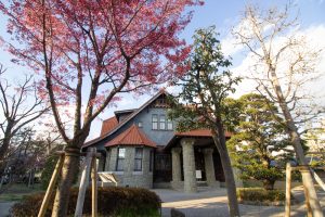 文化のみち二葉館、オオカンザクラの並木道、3月の春の花、名古屋市東区の観光・撮影スポットの画像と写真文化のみち二葉館、オオカンザクラの並木道、3月の春の花、名古屋市東区の観光・撮影スポットの画像と写真