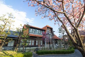 文化のみち二葉館、オオカンザクラの並木道、3月の春の花、名古屋市東区の観光・撮影スポットの画像と写真