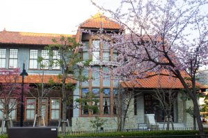 文化のみち二葉館、オオカンザクラの並木道、3月の春の花、名古屋市東区の観光・撮影スポットの画像と写真文化のみち二葉館、オオカンザクラの並木道、3月の春の花、名古屋市東区の観光・撮影スポットの画像と写真