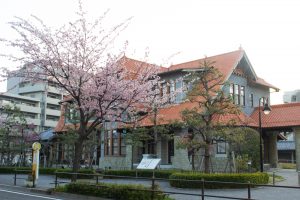 文化のみち二葉館、オオカンザクラの並木道、3月の春の花、名古屋市東区の観光・撮影スポットの画像と写真