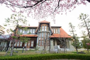 文化のみち二葉館、オオカンザクラの並木道、3月の春の花、名古屋市東区の観光・撮影スポットの画像と写真