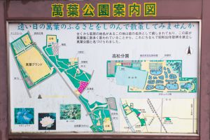 万葉公園高松分園、河津桜、3月の春の花、愛知県一宮市の観光・撮影スポットの画像と写真