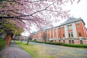 名古屋市市政資料館、オオカンザクラ、3月の春の花、名古屋市東区の観光・撮影スポットの画像と写真