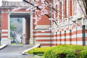 名古屋市市政資料館、オオカンザクラ、3月の春の花、名古屋市東区の観光・撮影スポットの画像と写真