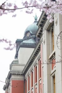 名古屋市市政資料館、オオカンザクラ、3月の春の花、名古屋市東区の観光・撮影スポットの画像と写真