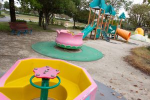 フローラルガーデンよさみ、子供の遊具、10月の秋の花、愛知県刈谷市の観光・撮影スポットの画像と写真