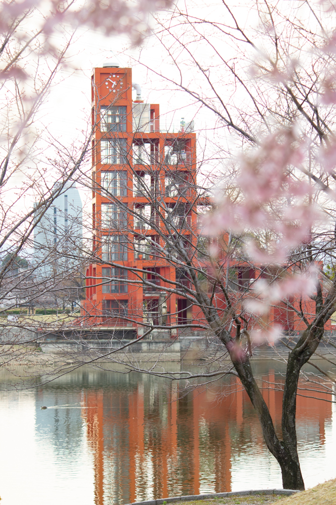 落合公園、水の塔、河津桜、3月の春の花、愛知県春日井市の観光・撮影スポットの画像と写真