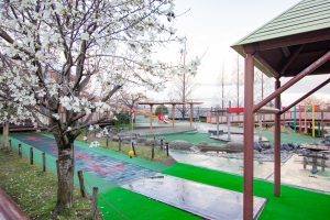 戸田川緑地、桜。三月の春の花、名古屋市港区の観光・撮影スポットの画像と写真戸田川緑地、桜。三月の春の花、名古屋市港区の観光・撮影スポットの画像と写真