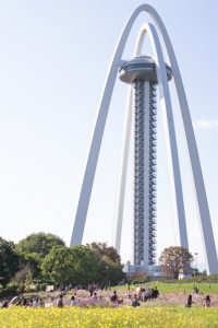 138タワーパーク、コスモス、ツインアーチ138、10月の秋の花、愛知県一宮市の観光・撮影スポットの画像と写真