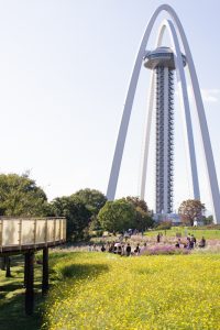 138タワーパーク、コスモス、ツインアーチ138、10月の秋の花、愛知県一宮市の観光・撮影スポットの画像と写真