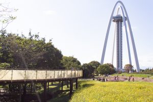 138タワーパーク、コスモス、ツインアーチ138、10月の秋の花、愛知県一宮市の観光・撮影スポットの画像と写真