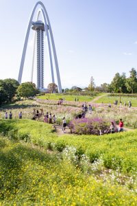 138タワーパーク、コスモス、ツインアーチ138、10月の秋の花、愛知県一宮市の観光・撮影スポットの画像と写真