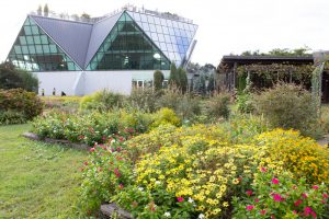 フラワーパーク江南、10月の秋の花、愛知県江南市の観光・撮影スポットの画像と写真