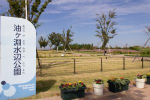油ヶ淵水辺公園・自然ふれあい生態園、コスモス、2019年9月の秋の花、愛知県碧南市の観光・撮影スポットの画像と写真