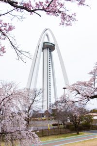 138タワーパーク、桜、138タワー、3月の春の花、愛知県一宮市の観光・撮影スポットの画像と写真