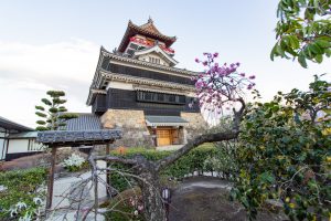 清州城、3月の春の花、愛知県清須市の観光・撮影スポットの画像と写真