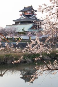 清州城、桜、3月の春の花、愛知県清須市の観光・撮影スポットの画像と写真
