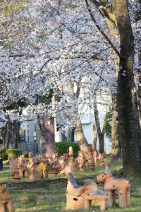 三ツ又三ツ又ふれあい公園、桜　、3月の春の花、愛知県春日井市の観光・撮影スポットの画像と写真
