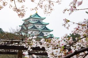 名古屋城、桜、3月の春の花、名古屋市の観光・撮影スポットの画像と写真