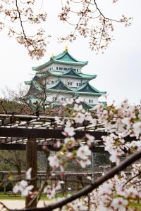 名古屋城、桜、3月の春の花、名古屋市の観光・撮影スポットの画像と写真