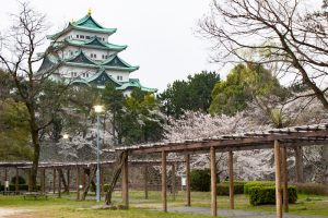 名古屋城、桜、3月の春の花、名古屋市の観光・撮影スポットの画像と写真