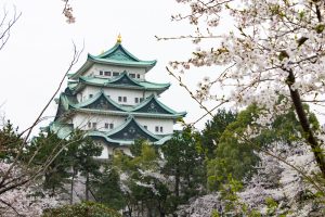 名古屋城、桜、3月の春の花、名古屋市の観光・撮影スポットの画像と写真