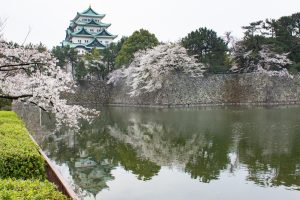 名古屋城、桜、3月の春の花、名古屋市の観光・撮影スポットの画像と写真