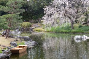 白鳥庭園、しだれ桜、3月の春の花、名古屋市熱田区の観光・撮影スポットの画像と写真
