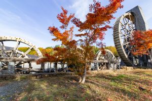 飛騨そばの里、五輪水車、紅葉、岐阜県高山市荘川町の観光・撮影スポットの画像と写真