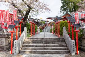 三光稲荷神社、4月の春の花、愛知県犬山市の観光・撮影スポットの画像と写真
