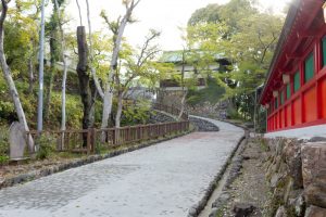 三光稲荷神社、4月の春の花、愛知県犬山市の観光・撮影スポットの画像と写真