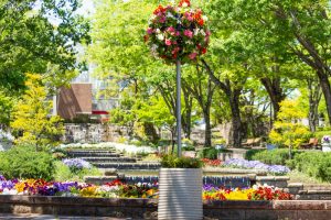 春日井市都市緑化植物園、4月の春の花、愛知県春日井市の観光・撮影スポットの画像と写真