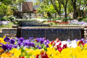 春日井市都市緑化植物園、4月の春の花、愛知県春日井市の観光・撮影スポットの画像と写真