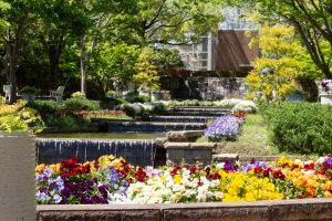 春日井市都市緑化植物園、4月の春の花、愛知県春日井市の観光・撮影スポットの画像と写真