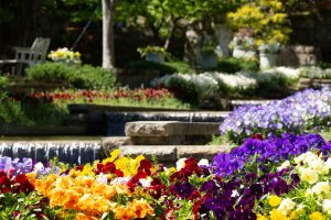 春日井市都市緑化植物園、4月の春の花、愛知県春日井市の観光・撮影スポットの画像と写真