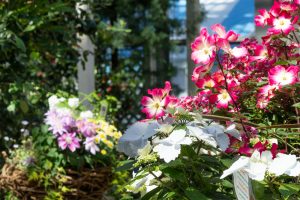 春日井春日井市都市緑化植物園、4月の春の花、愛知県春日井市の観光・撮影スポットの画像と写真