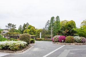 浅野公園、一宮つつじ祭、4月の春の花、愛知県一宮市の観光・撮影スポットの画像と写真